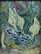 Butterflies Vincent Van Gogh